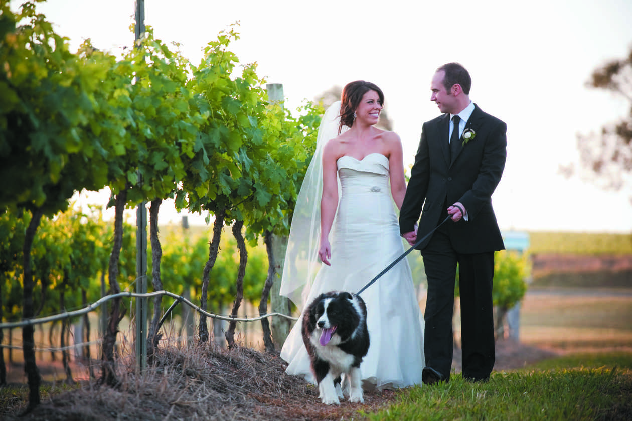 Serena and Andrew at Hungerford Hill Winery