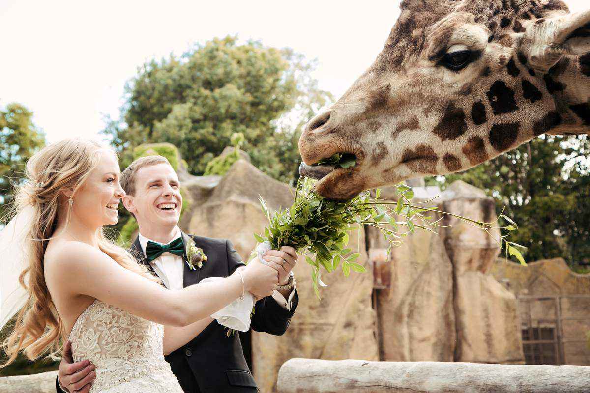 Best Wedding Venue in Melbourne - Melbourne Zoo Weddings