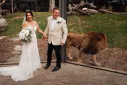 Melbourne Zoo Weddings