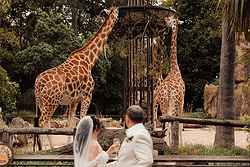 Melbourne Zoo Weddings