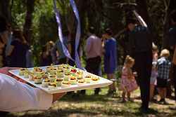 The Small Food Caterers