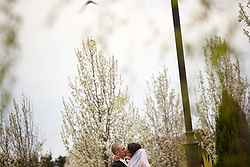 Windmill Gardens Weddings