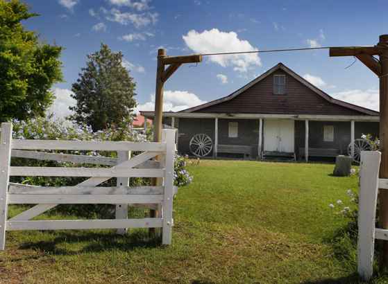 Mandi and Matt at Kenilworth Homestead