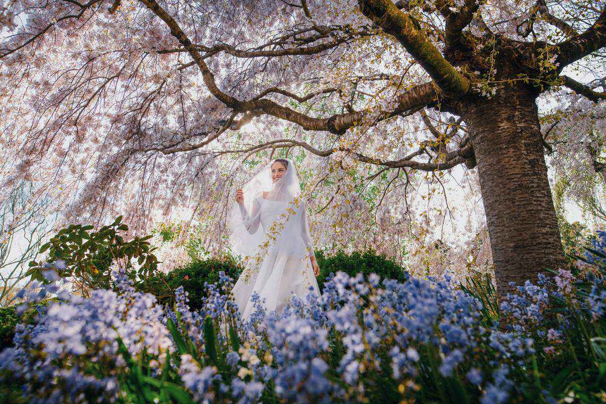 Blue Mountains Botanic Garden