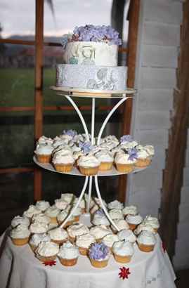 Mandi and Matt at Kenilworth Homestead