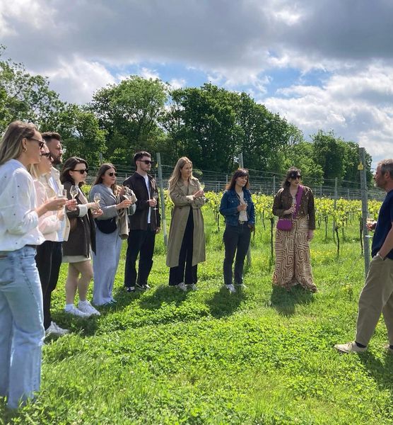 Great British Wine Tours