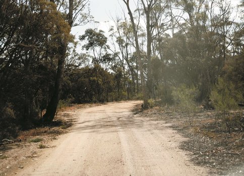 Open Road - Courtney and Andrew's Wedding at Boyd Baker House