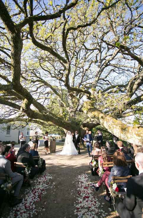 Andria & Michael at Coombe Yarra Valley