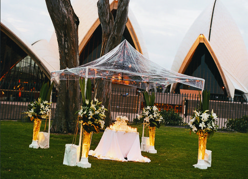 Priscilla and David at Bennelong Lawn, Royal Botanic Gardens