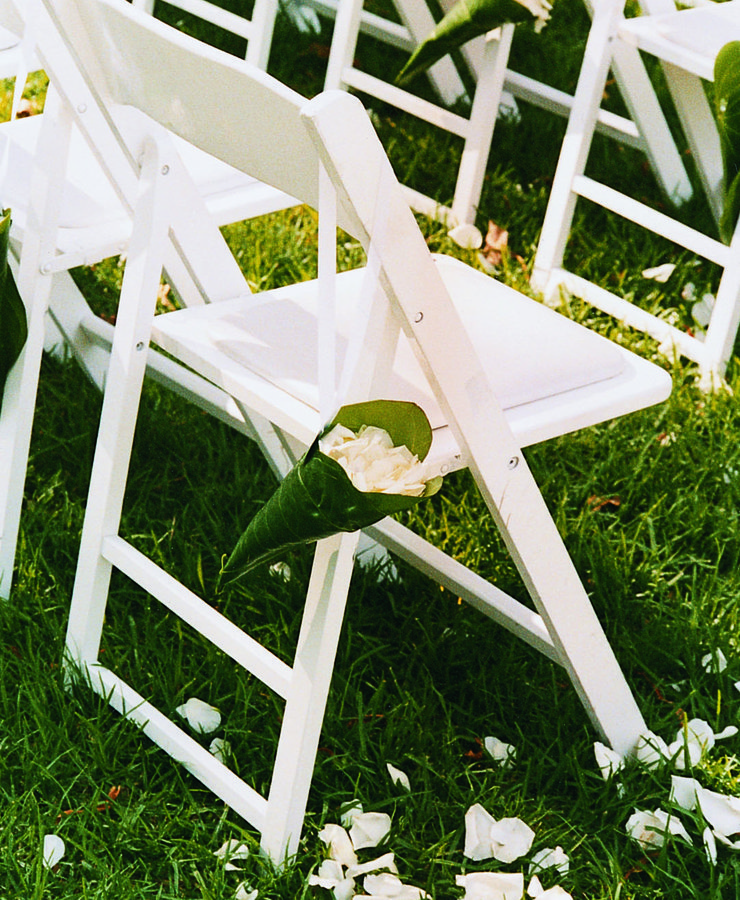 Priscilla and David at Bennelong Lawn, Royal Botanic Gardens