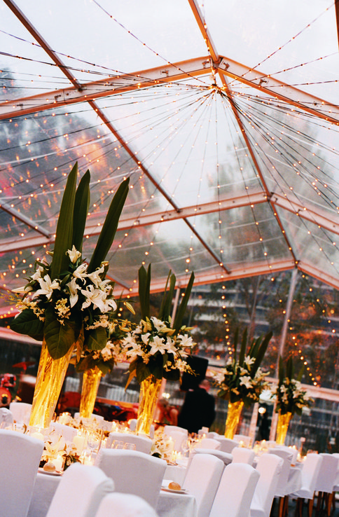 Priscilla and David at Bennelong Lawn, Royal Botanic Gardens