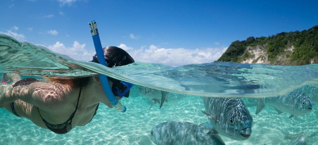 arajilla_landscapes_snorkelling_fish_1024x665.jpg