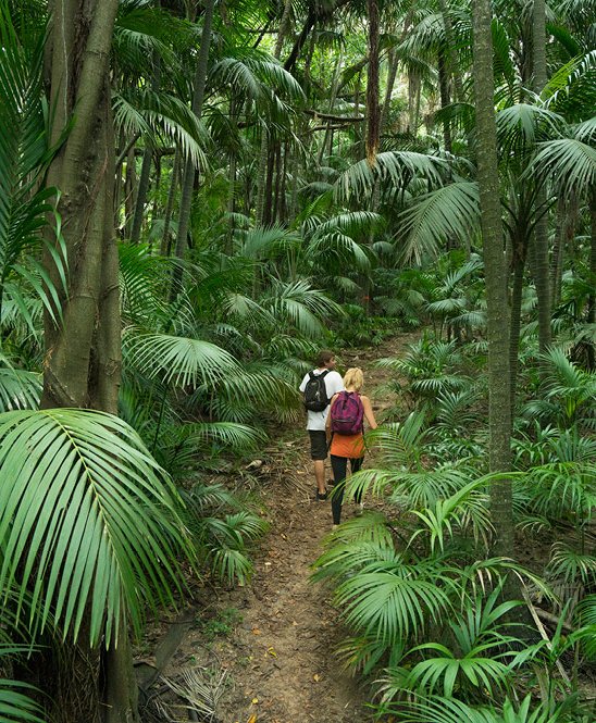 arajilla_rainforests_couple_walk_1024x665.jpg