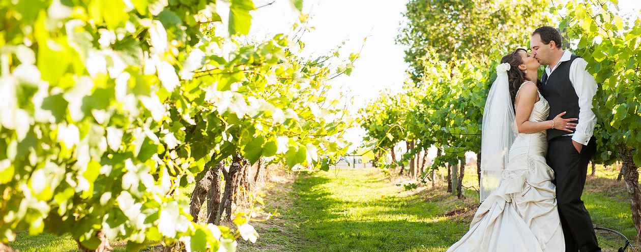 Bianchet Winery Weddings