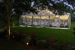 Aladdin's Party Hire