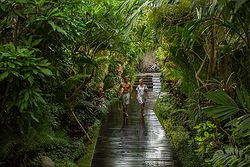 Garden Wedding Bali - Ametis Villa at Real Weddings