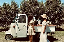 Aperino & Co