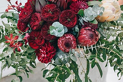 A&T Blooms