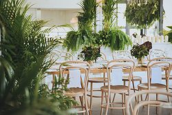 Beachside Dojo Weddings