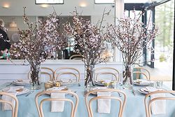 Beachside Dojo Weddings