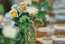 Beachside Dojo Weddings