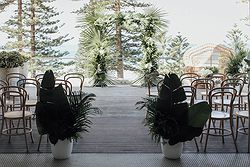 Beachside Dojo Weddings