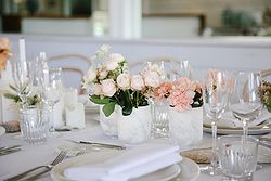 Beachside Dojo Weddings