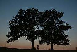 Bonville Golf Resort Weddings