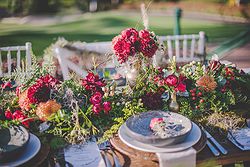 Bonville Golf Resort Weddings