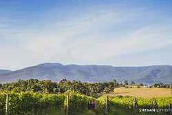 Yarra Junction Outdoor Wedding - Bulong Estate at Real Weddings