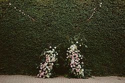Butler Lane Weddings