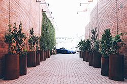 Butler Lane Weddings