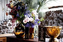 Cadella Park Weddings