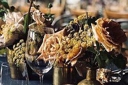 Cadella Park Weddings