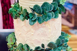 Cake Cake Baby