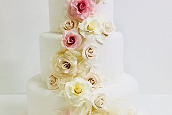 Cakes by Judyc