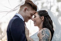 C&D Image