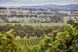 Coombe Yarra Valley