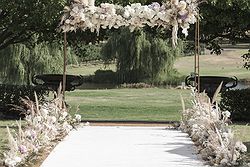 Creative Edge Weddings