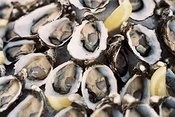 EatDrink Catering Byron Bay