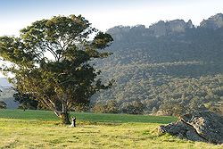 Emirates One & Only Wolgan Valley Weddings