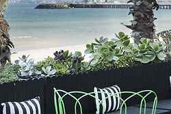 Encore St Kilda Beach Weddings