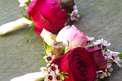 Flowers by Wynne