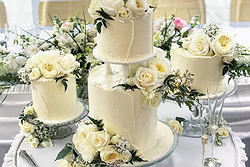 Greenberg & Co Cakes