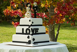 I Do... Wedding Cakes