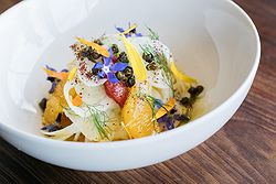 Jackalope Mornington Peninsula Weddings