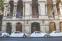 Jaguars With Grace