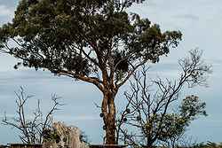 Lancemore Macedon Ranges