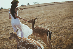 LENSURE CINEMATIC & PHOTOGRAPHY