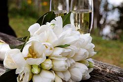 Lilianfels Weddings